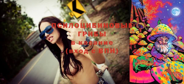 амф Горно-Алтайск