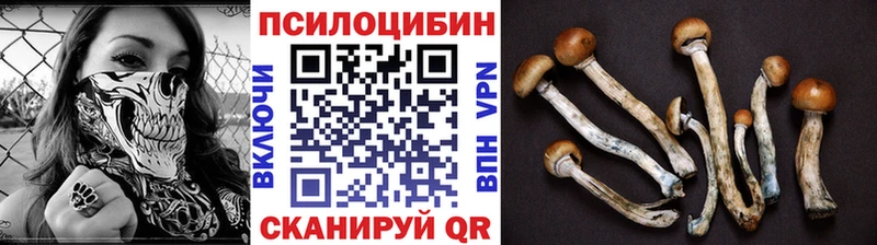 Купить закладки  Ишимбай  Галлюциногенные грибы Magic Shrooms 