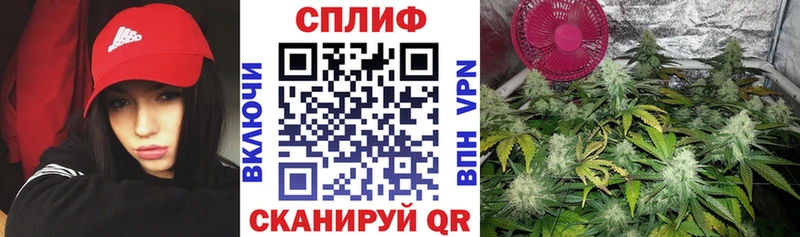 Купить закладки  Ишимбай  Шишки марихуана White Widow 